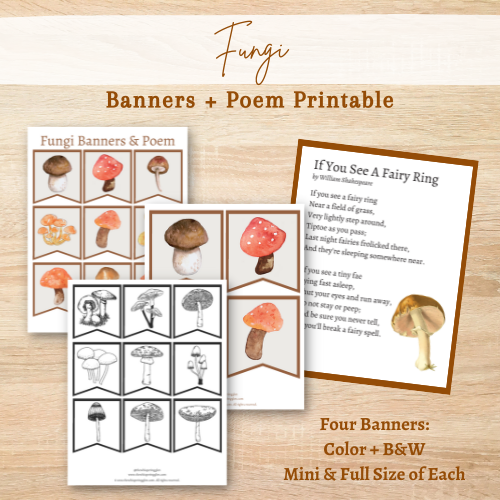 Fungi Banner & Poem