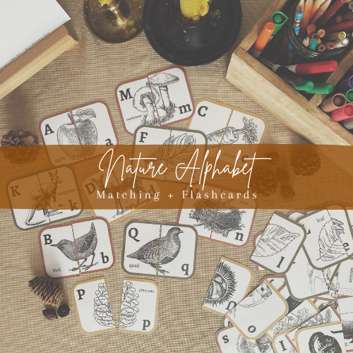 Nature Alphabet Matching & Flashcard Set