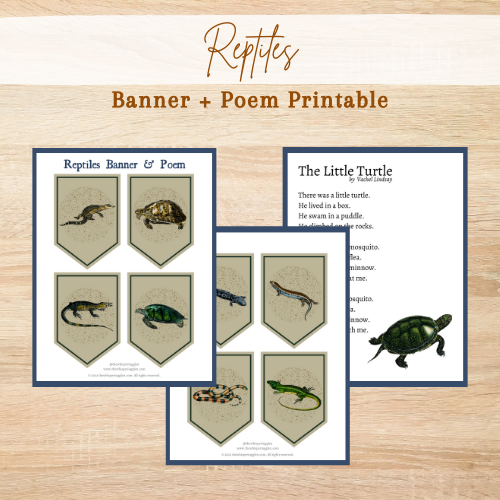 Reptiles Banner and Poem