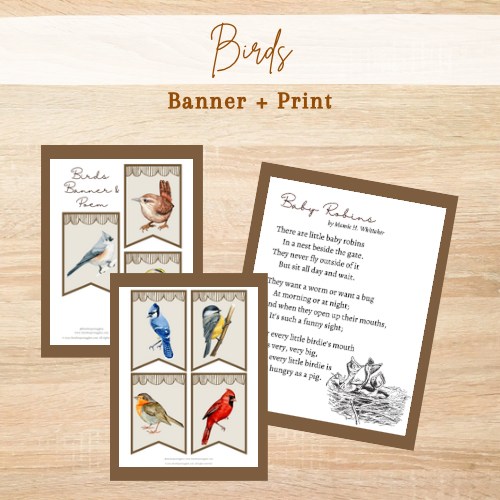 Birds Banner and Poem