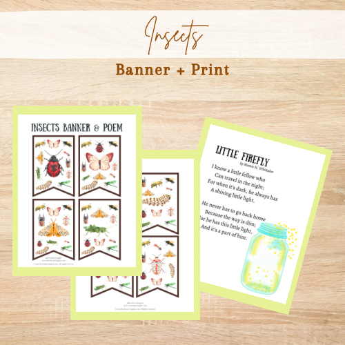 Insects Banner and Poem