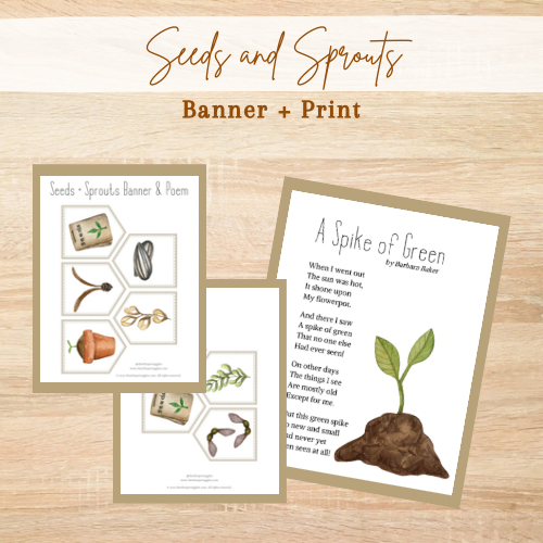 Seeds & Sprouts Banner and Poem