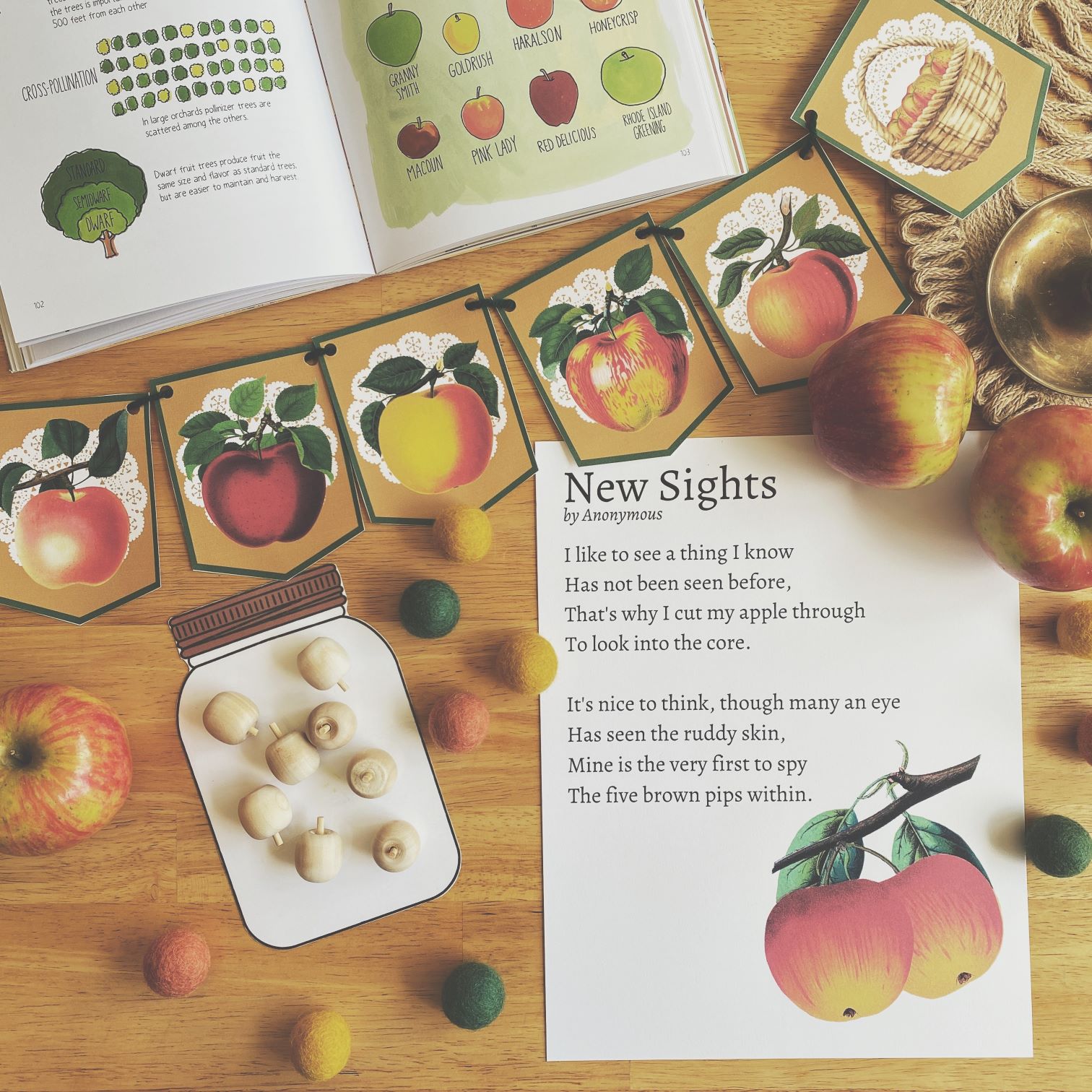 Nature Study Banners & Poems